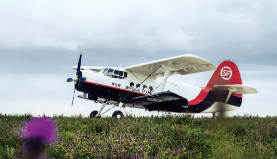 �ڴ��ʵꡤAPP(�й���)���޹�˾����